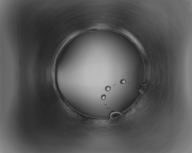 X0000100760861200806261603