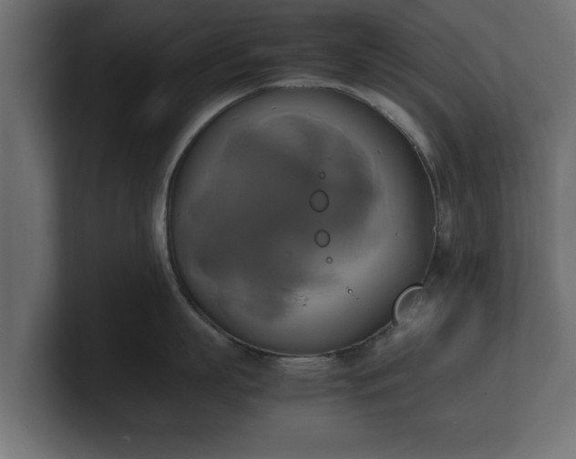 X0000100760863200806261603