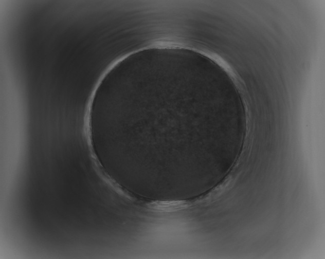 X0000100760864200806261603