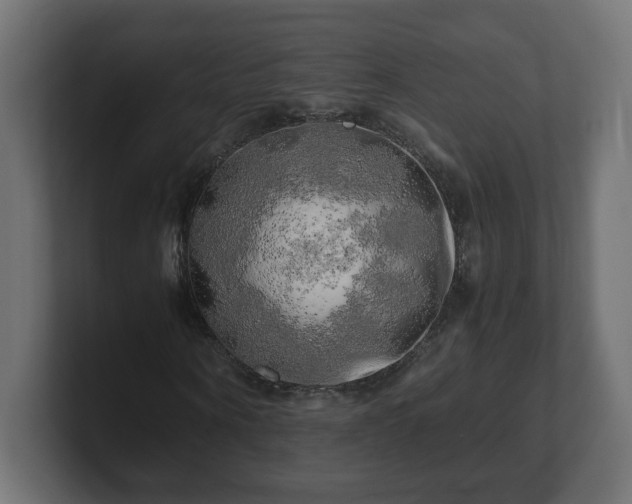 X0000100760866200806261602