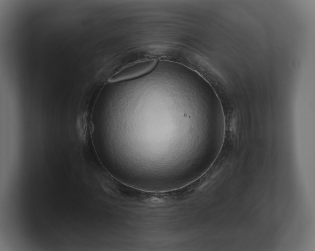 X0000100760868200806261602