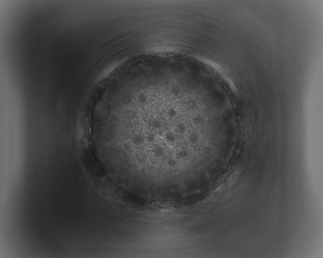 X0000100760871200806261602