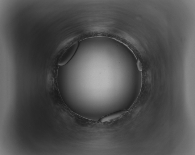 X0000100760872200806261602