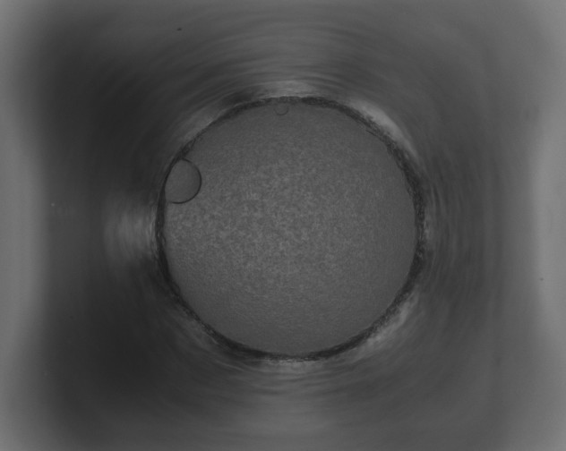 X0000100760873200806261602