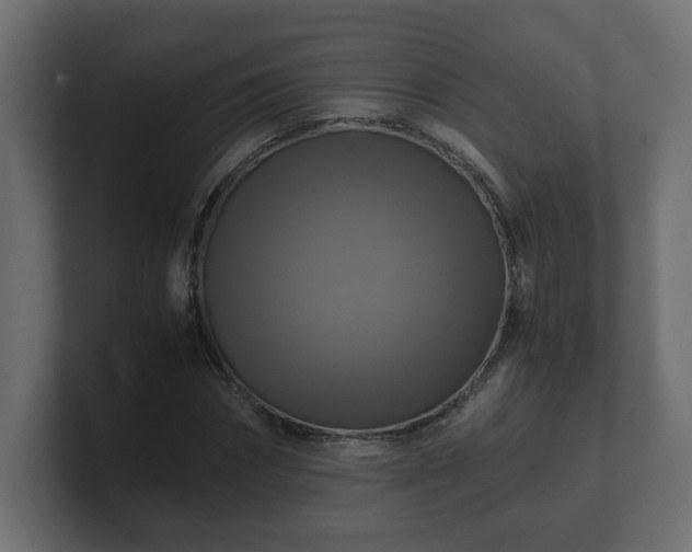 X0000100760874200806261602