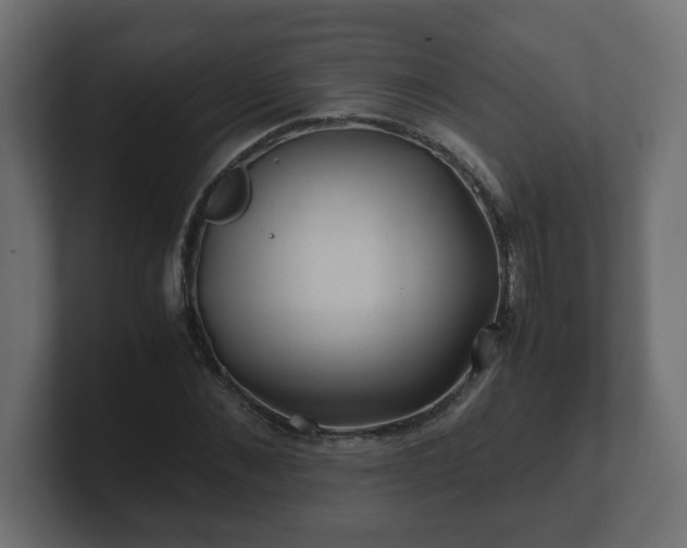 X0000100760876200806261602