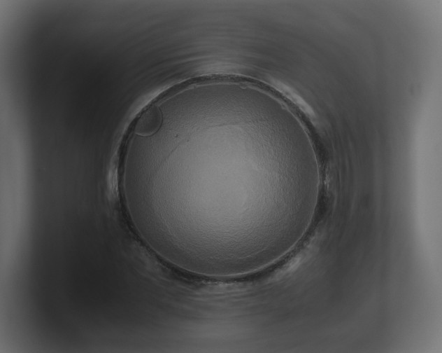 X0000100760877200806261602