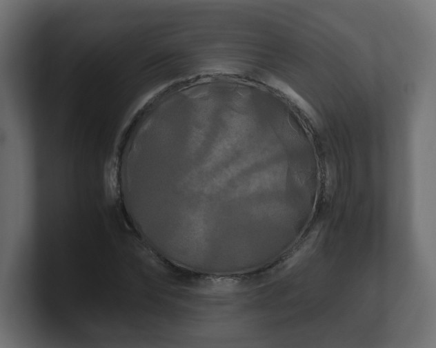 X0000100760878200806261602