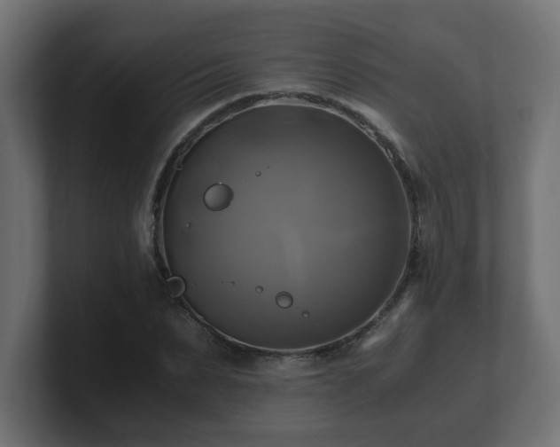 X0000100760879200806261602