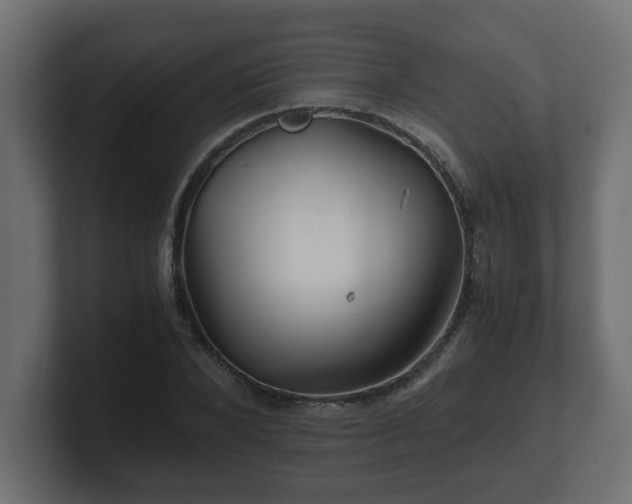 X0000100760880200806261602