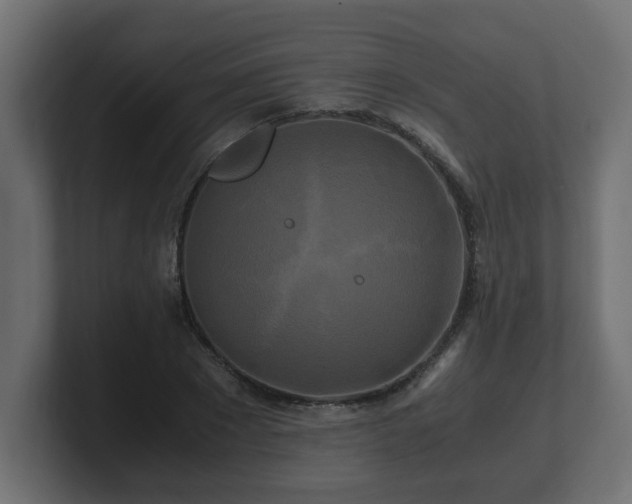 X0000100760881200806261602