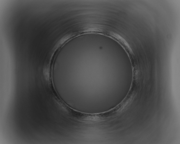 X0000100760882200806261602