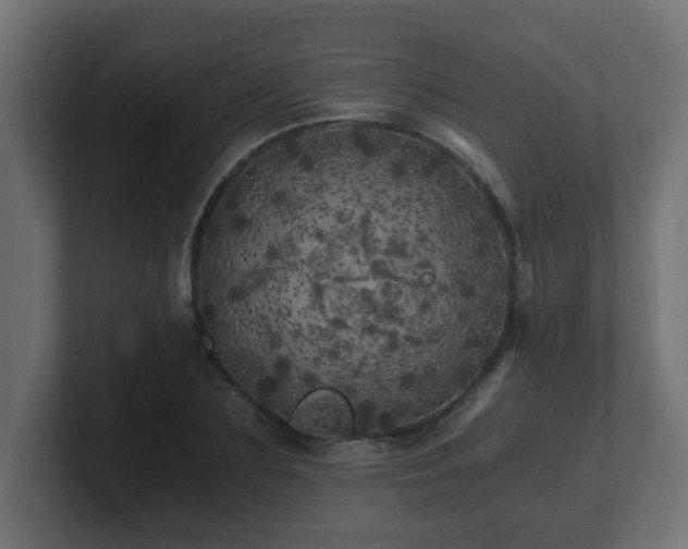 X0000100760883200806261602