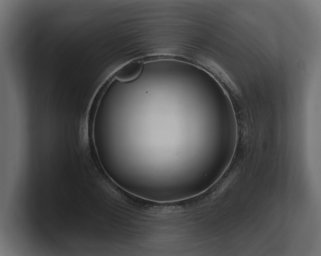 X0000100760884200806261602