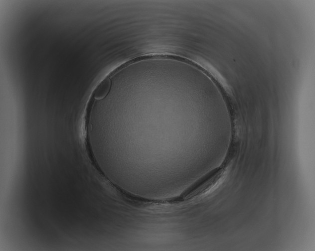 X0000100760885200806261602