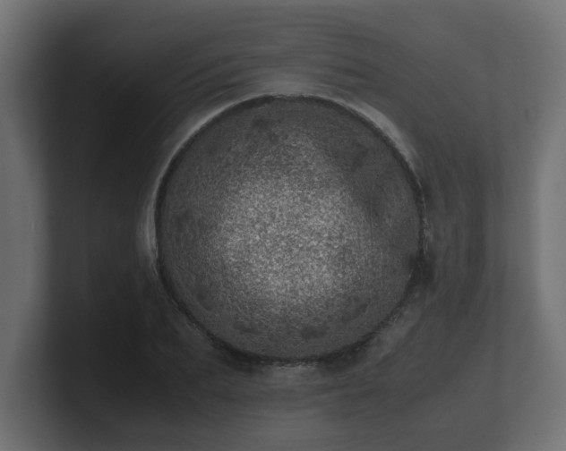 X0000100760887200806261602