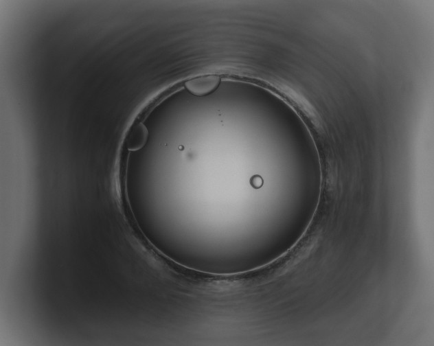 X0000100760888200806261602