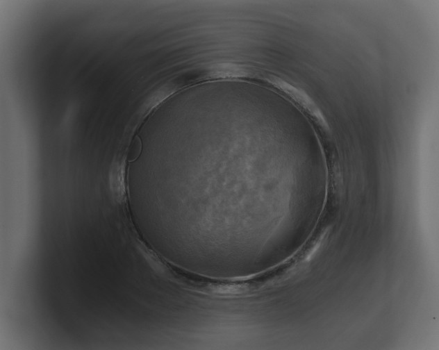 X0000100760889200806261602