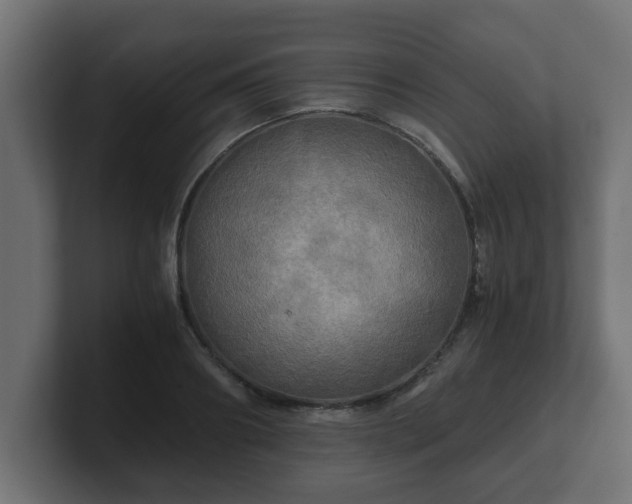 X0000100760890200806261602