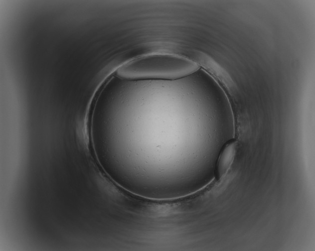 X0000100760892200806261602