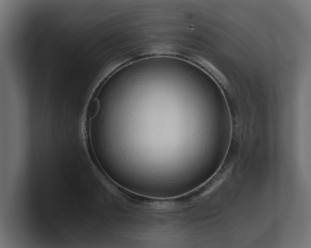 X0000100760893200806261602