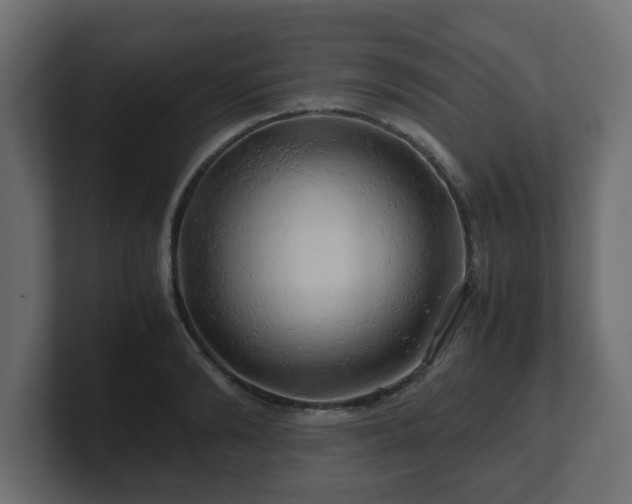 X0000100760894200806261602