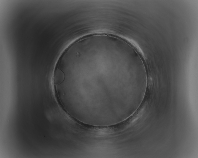 X0000100760895200806261602