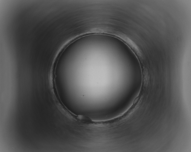 X0000100760896200806261602