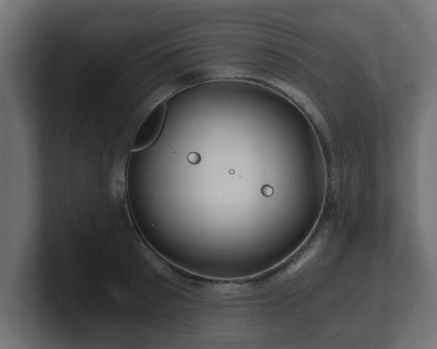 X0000100760897200806261602