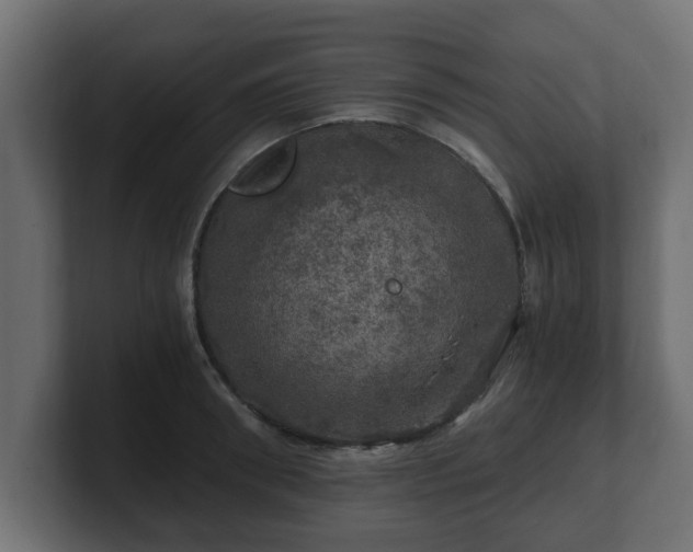 X0000100760898200806261602