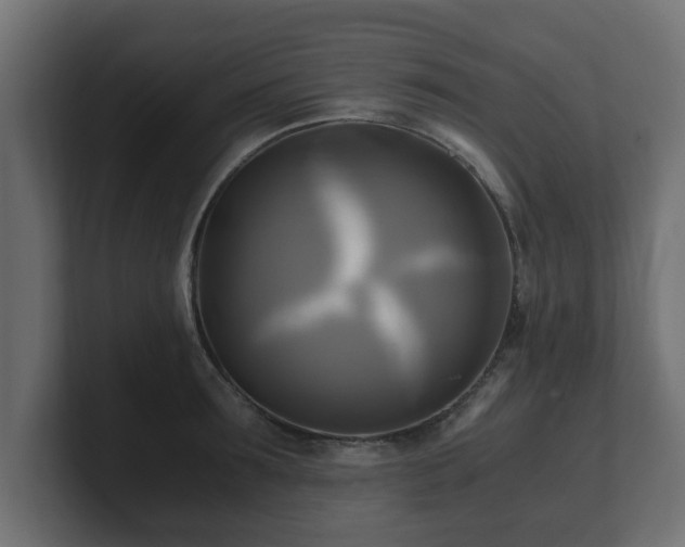 X0000100760899200806261602