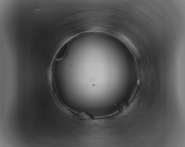 X0000100760900200806261602