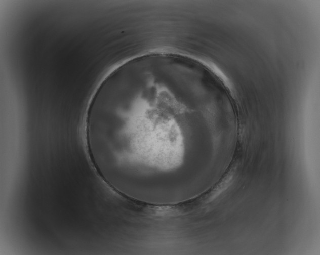 X0000100760903200806261602