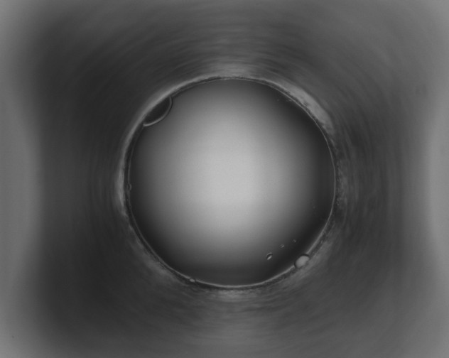 X0000100760904200806261602