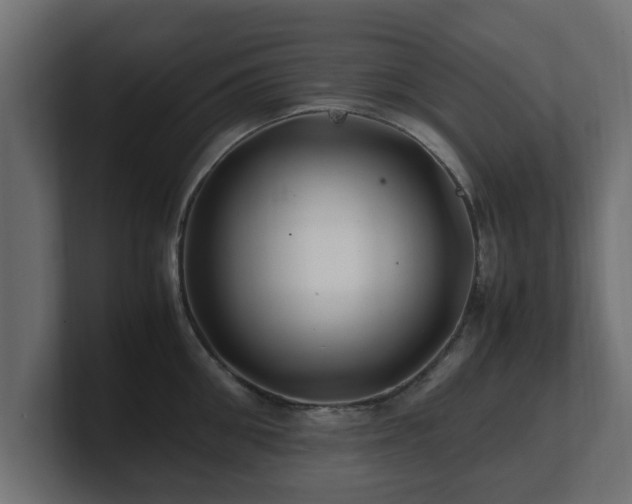 X0000100760906200806261602