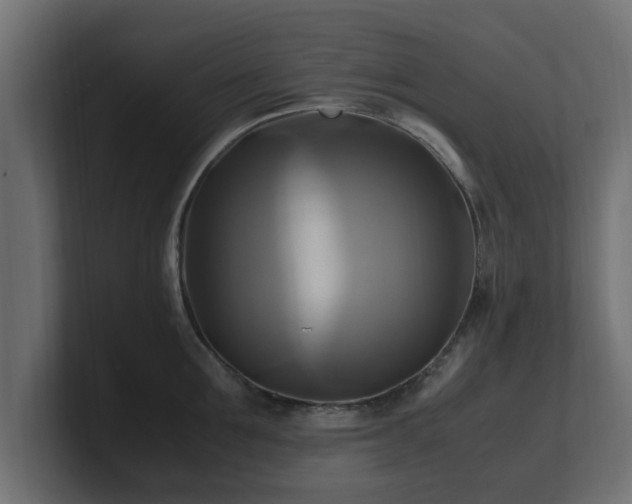 X0000100760907200806261602