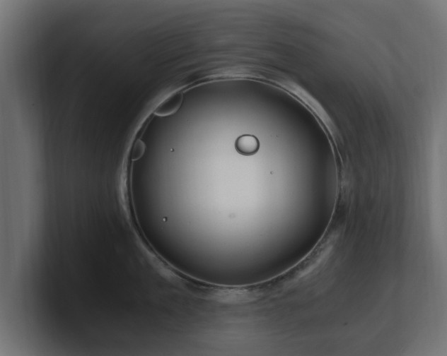 X0000100760909200806261602