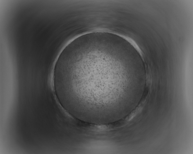 X0000100760911200806261602