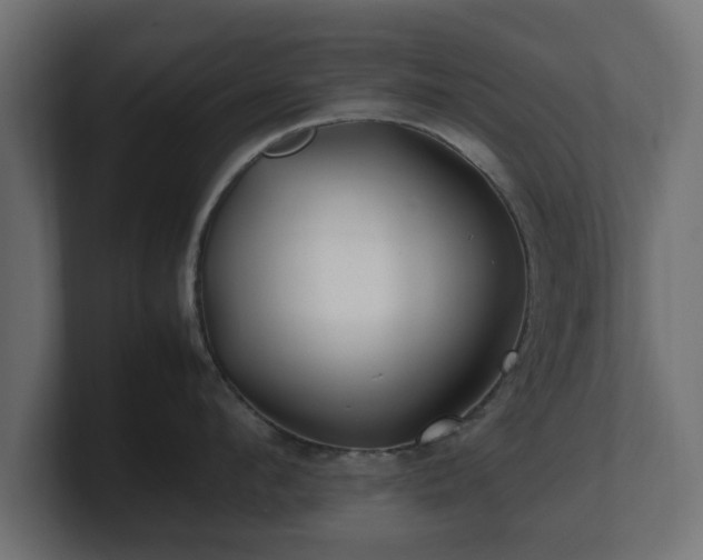 X0000100760912200806261602