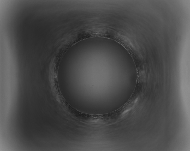 X0000100760913200806261601