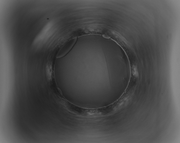 X0000100760915200806261601