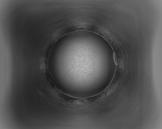 X0000100760916200806261601