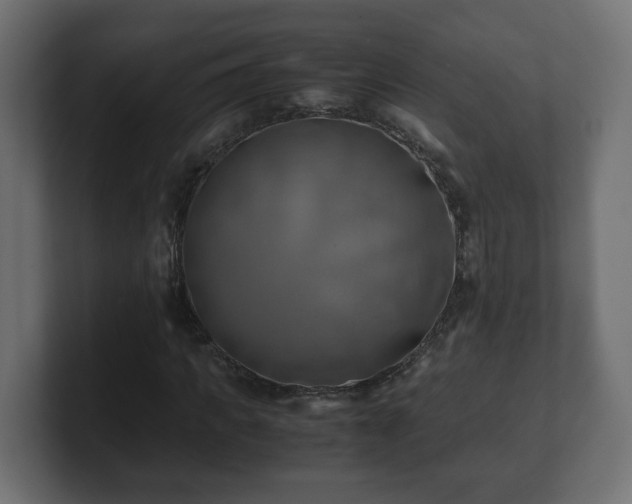 X0000100760917200806261601