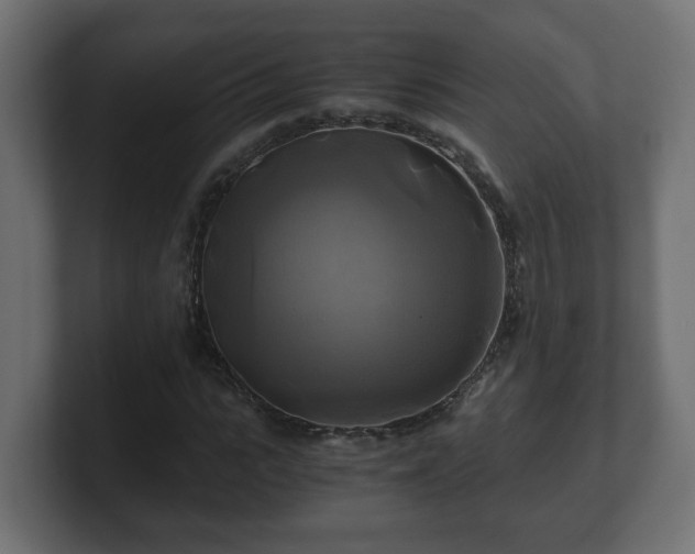 X0000100760919200806261601