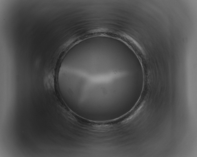 X0000100760921200806261601