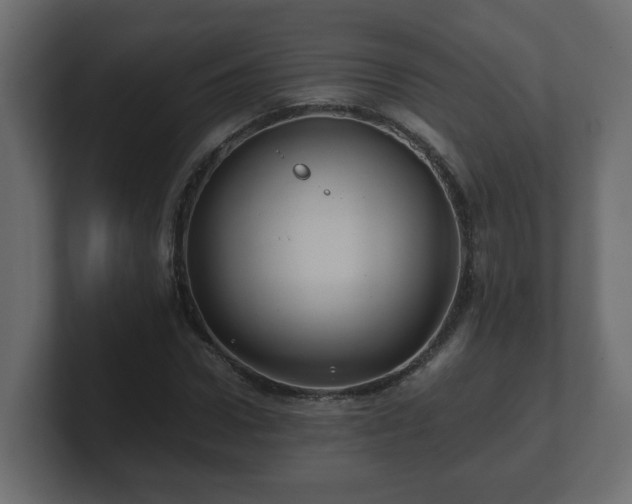 X0000100760922200806261601