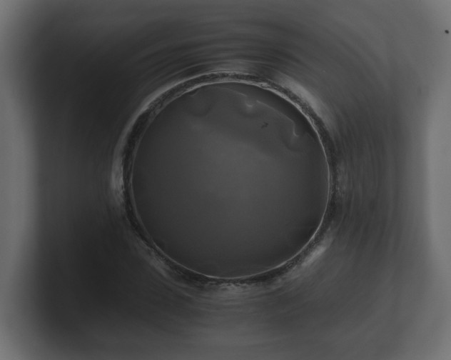 X0000100760923200806261601