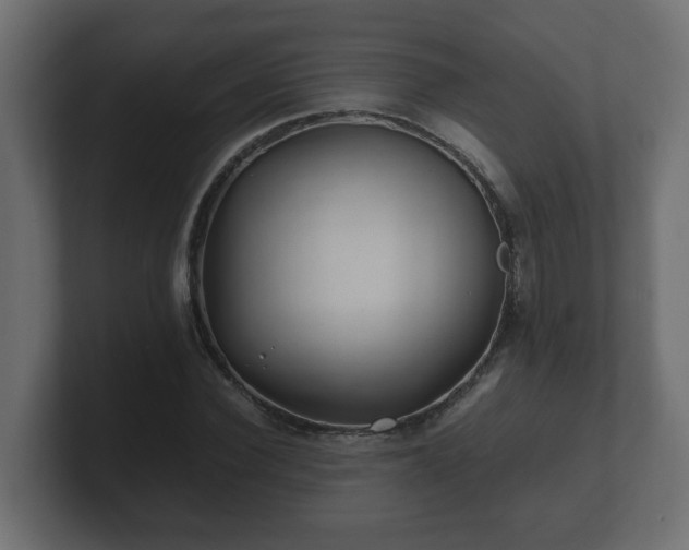 X0000100760924200806261601