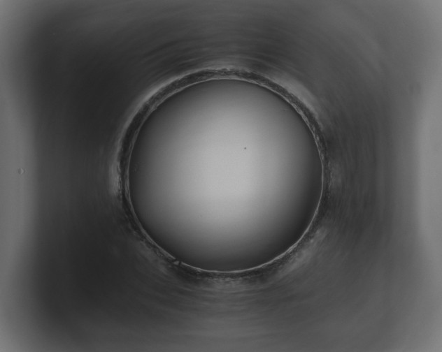 X0000100760927200806261601