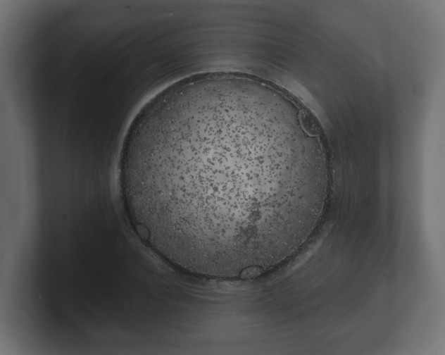X0000100760928200806261601